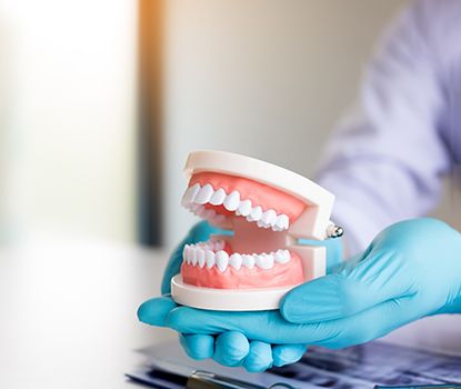 A dentist holding model dentures in Clarendon Hills