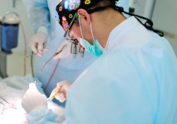 Dentist performing dental implant surgery