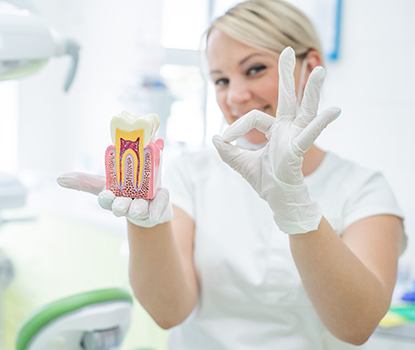 Woman in white holding model tooth in one hand and making “ok” sign in the other